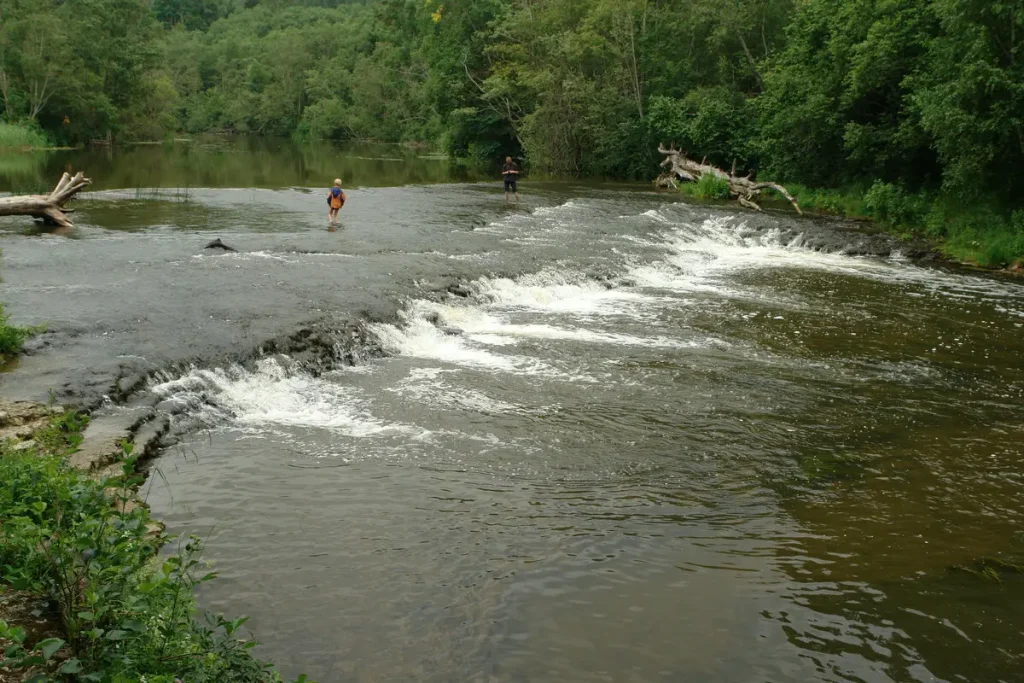 Abavas rumba, 2008. gada jūnijs