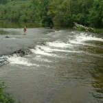 Abavas rumba, 2008. gada jūnijs