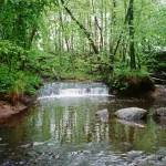 Jaunvilku ūdenskritums, 2000. gada maijs