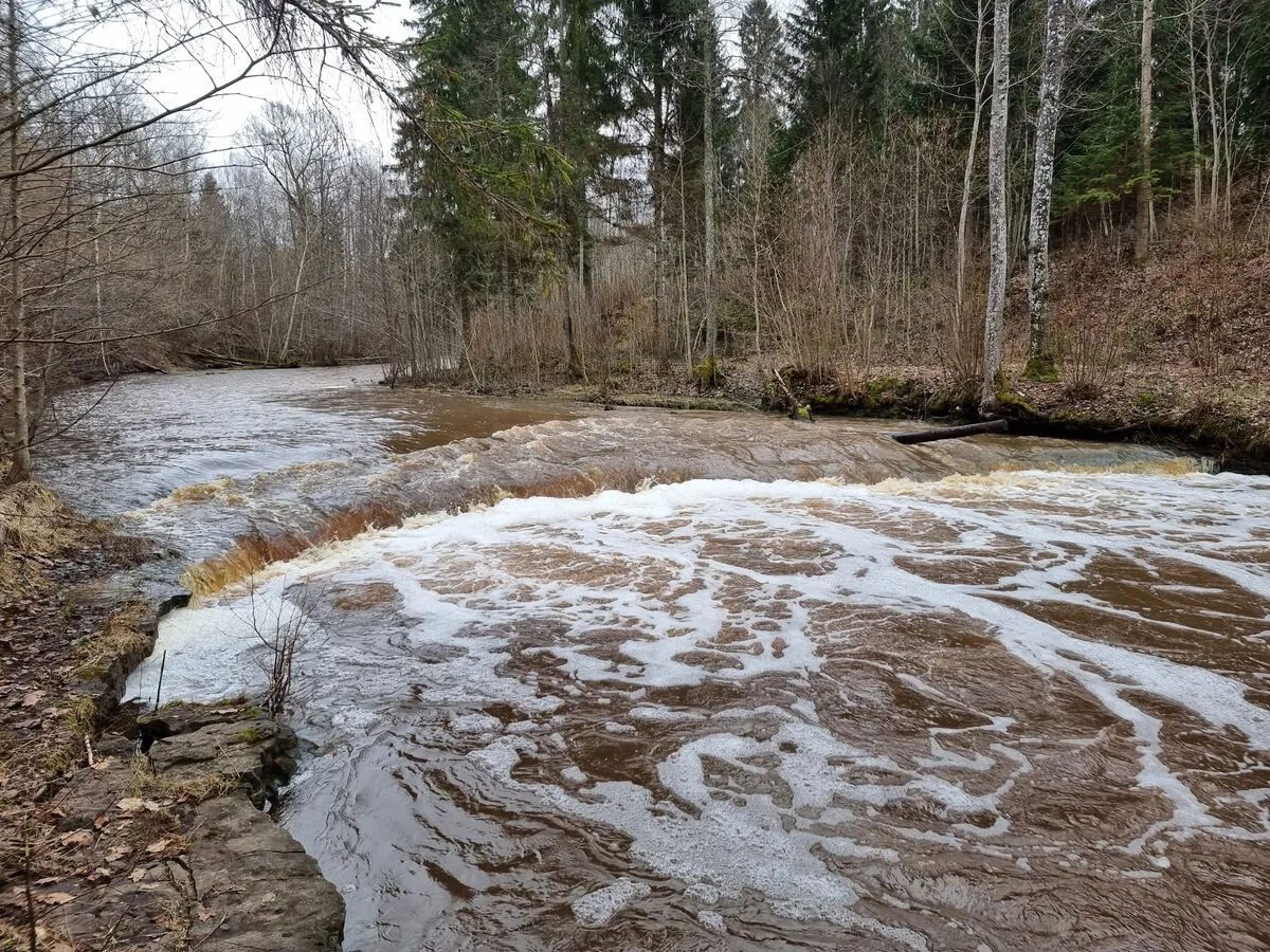 Riežupes ūdenskritums, 2023. gada marts