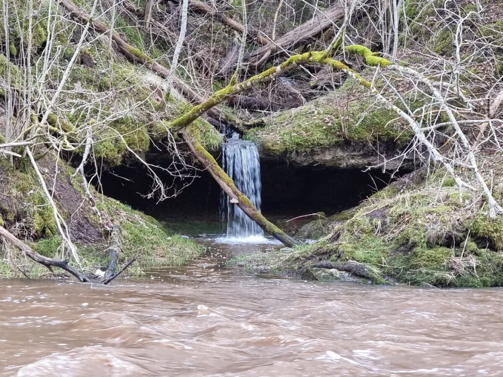 Trejrumbiņas apakšējā pakāpe, 2023. gada marts