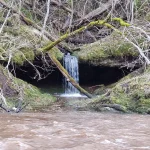 Trejrumbiņas apakšējā pakāpe, 2023. gada marts