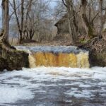 Valdātu rumba 2023. gada martā. Fonā redzamas 18. gadsimta beigu mācītājmuižas kompleksa ēkas.