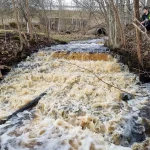 Veģu ūdenskritums, 2023. gada marts