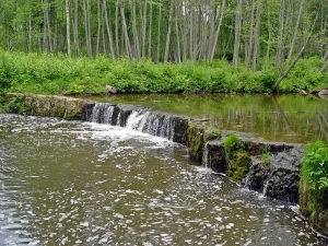 Veldzes ūdenskritums, 2004. gada maijs