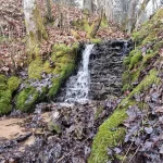 Elciņu valka ūdenskritums, 2024. gada marts