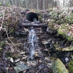 Zarvalka caurtekas ūdenskritums, 2024. gada marts