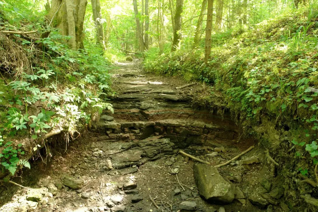 Zviedrugrāvja ūdenskritums 2008. gada jūnijā