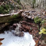 Zviedrugrāvja ūdenskritums 2023. gada novembrī