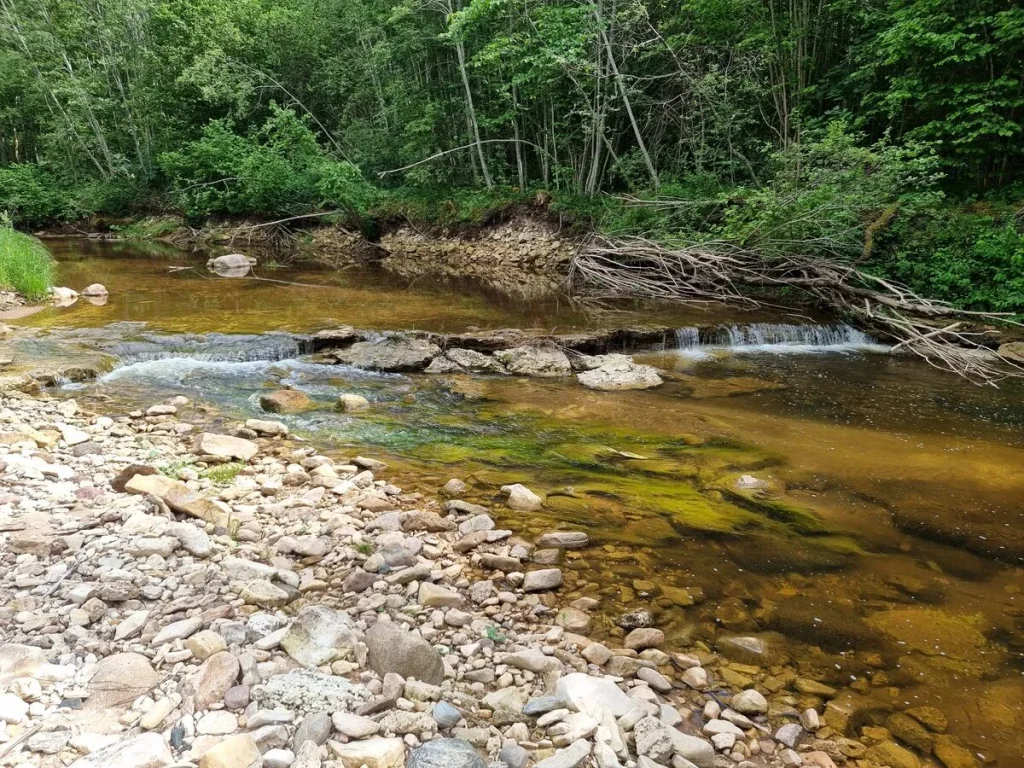 Billes krāce, 2024. gada jūnijs