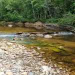 Billes krāce, 2024. gada jūnijs