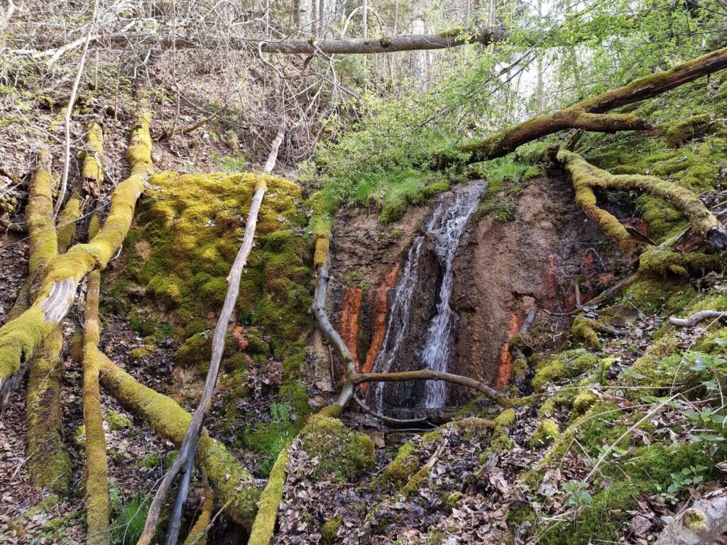 Dāvida dzirnavu Augstais ūdenskritums, 2024. gada aprīlis