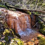 Dāvida dzirnavu Sarkanais ūdenskritums