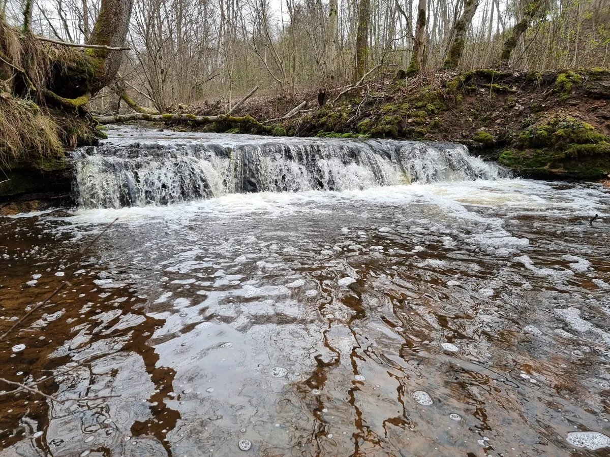Grūbas ceturtais ūdenskritums, 2024. gada aprīlis