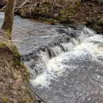 Grūbas apakšējais ūdenskritums, 2024. gada aprīlis