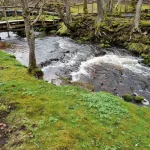 Grūbas otrais ūdenskritums, 2024. gada aprīlis