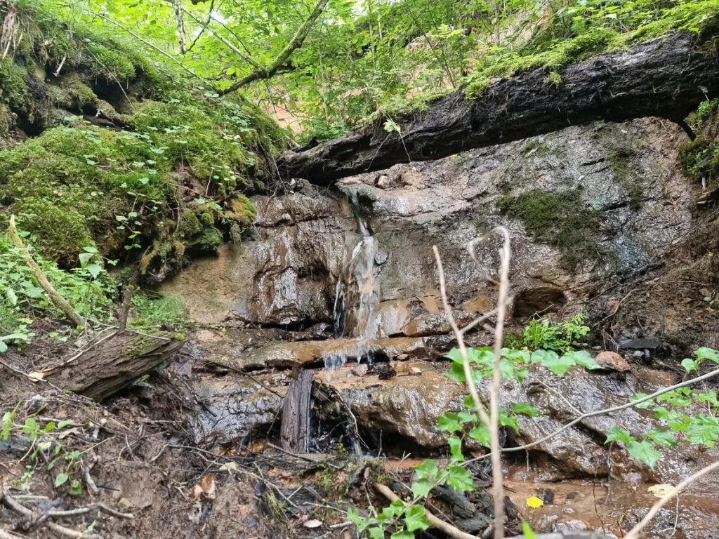 Īģes avota ūdenskritums pie Ārgaļiem. 2024. gada jūlijs.