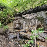 Īģes avota ūdenskritums pie Ārgaļiem. 2024. gada jūlijs.