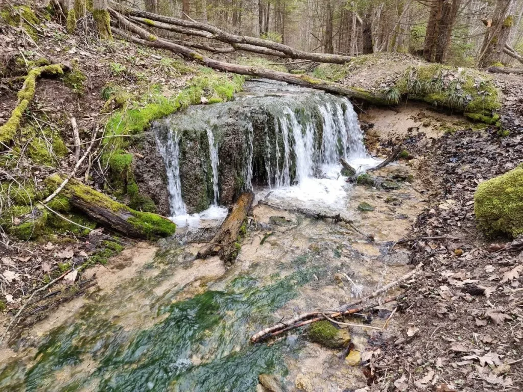Septiņavotu Apakšējais ūdenskritums. 2024. gada aprīlis