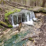 Septiņavotu Apakšējais ūdenskritums. 2024. gada aprīlis