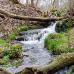 Septiņavotu Augšējais ūdenskritums. 2024. gada aprīlis