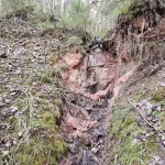 Dzilnas ieža otrais ūdenskritums. 2024. gada aprīlis.