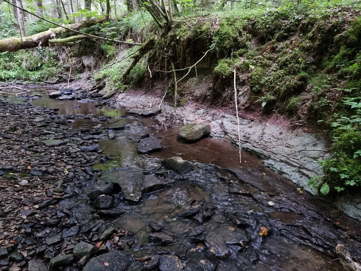 Pitragupes krasti, Latvijā senākie atsegtie ieži. 2024. gada jūlijs.