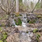 Septiņavotu Malējais kritums. 2024. gada aprīlis