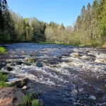 Brāžu krāces. 2024. gada maijs.