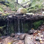 Kārļu gravas ūdenskritumiņš. 2024. gada septembris.