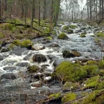 Nāružas Velna grāvis. 2008. gada marts.