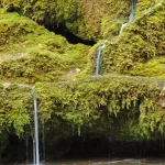 Raunas Staburags. 2008. gada augusts.