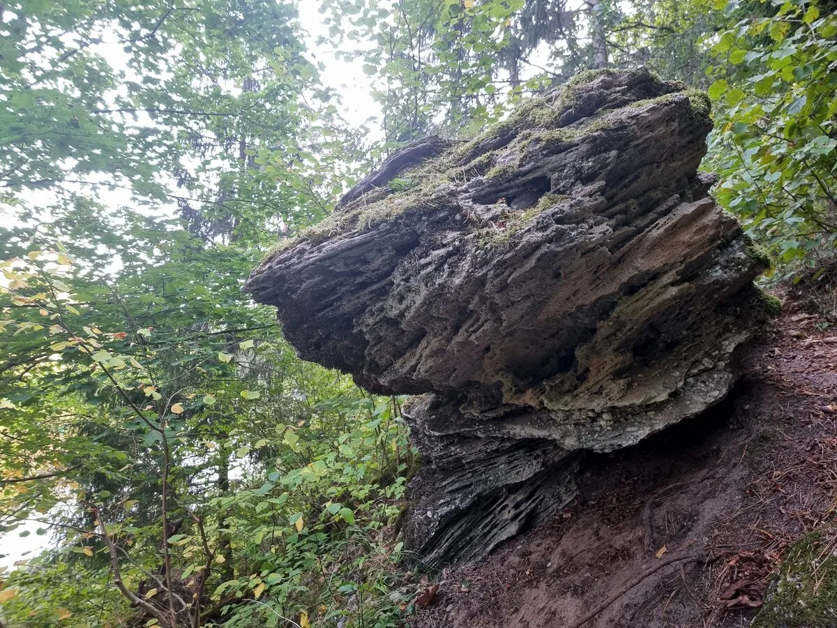 Ausjutišķu konglomerāts, augšējais bluķis. 2024. gada septembris.