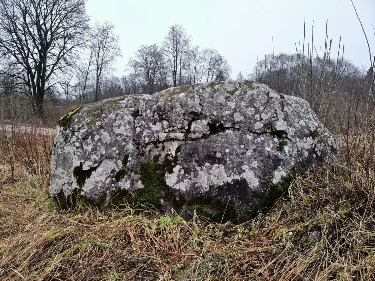 Ančiņu Velna akmens. 2024. gada novembris.