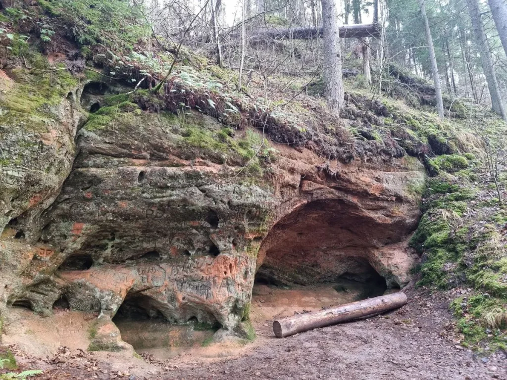 Līču niša. 2024. gada novembris.