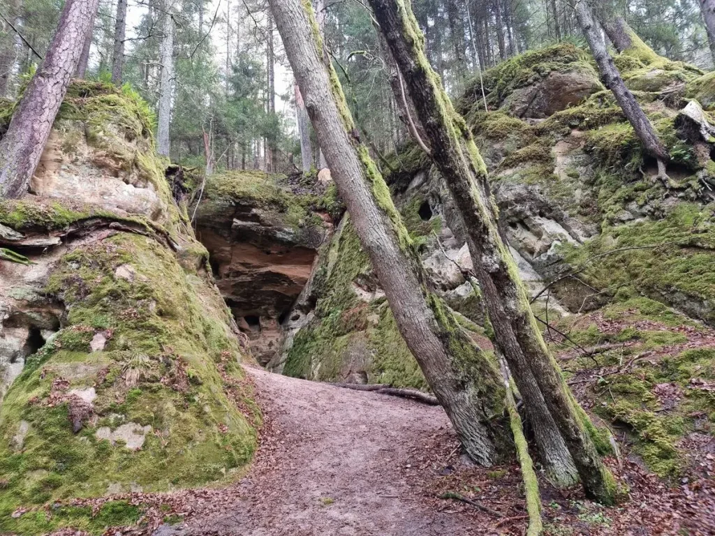 Līču aiza. 2024. gada novembris.