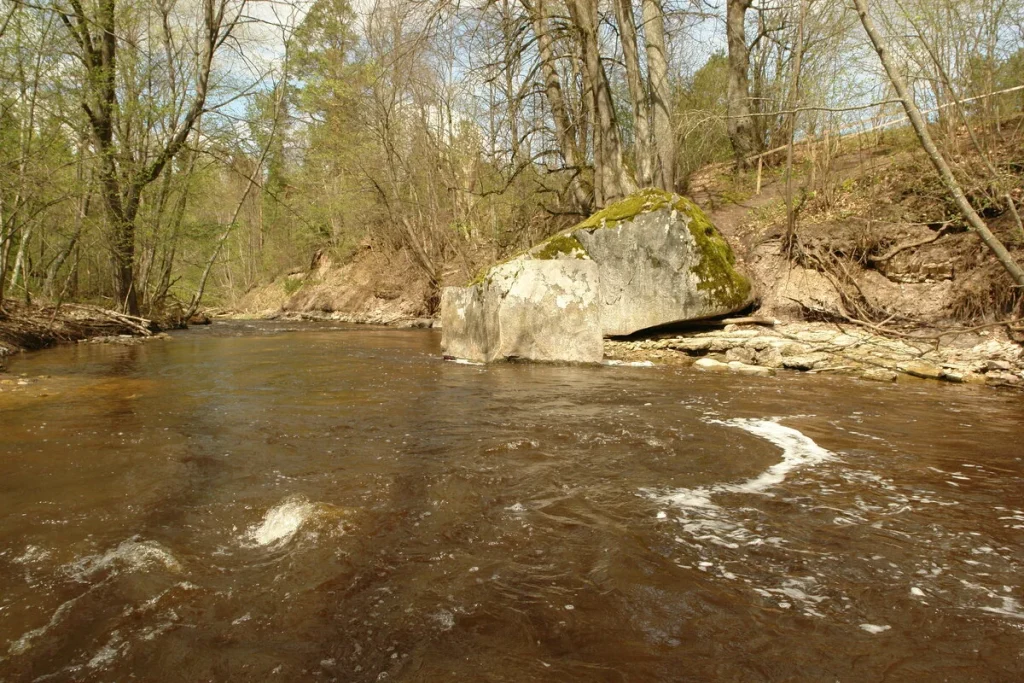 Žākļu dižakmens. 2008. gada maijs