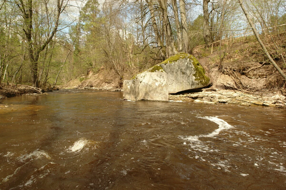 Žākļu dižakmens. 2008. gada maijs