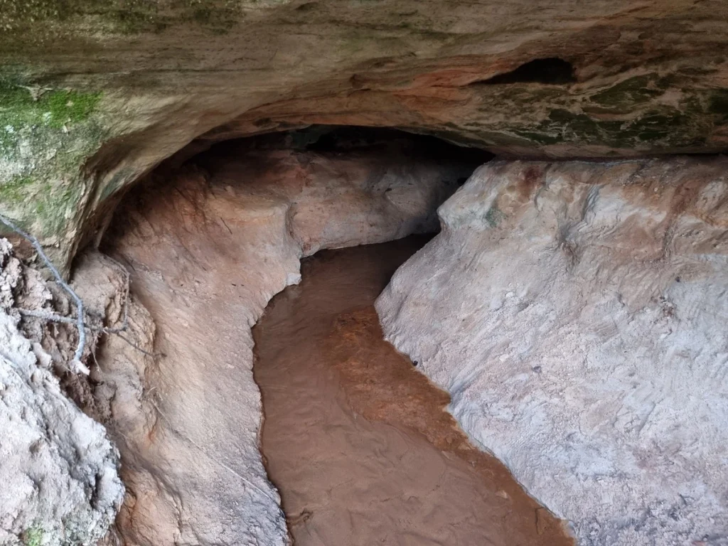 Lielā Laņģu ala. 2024. gada novembris.