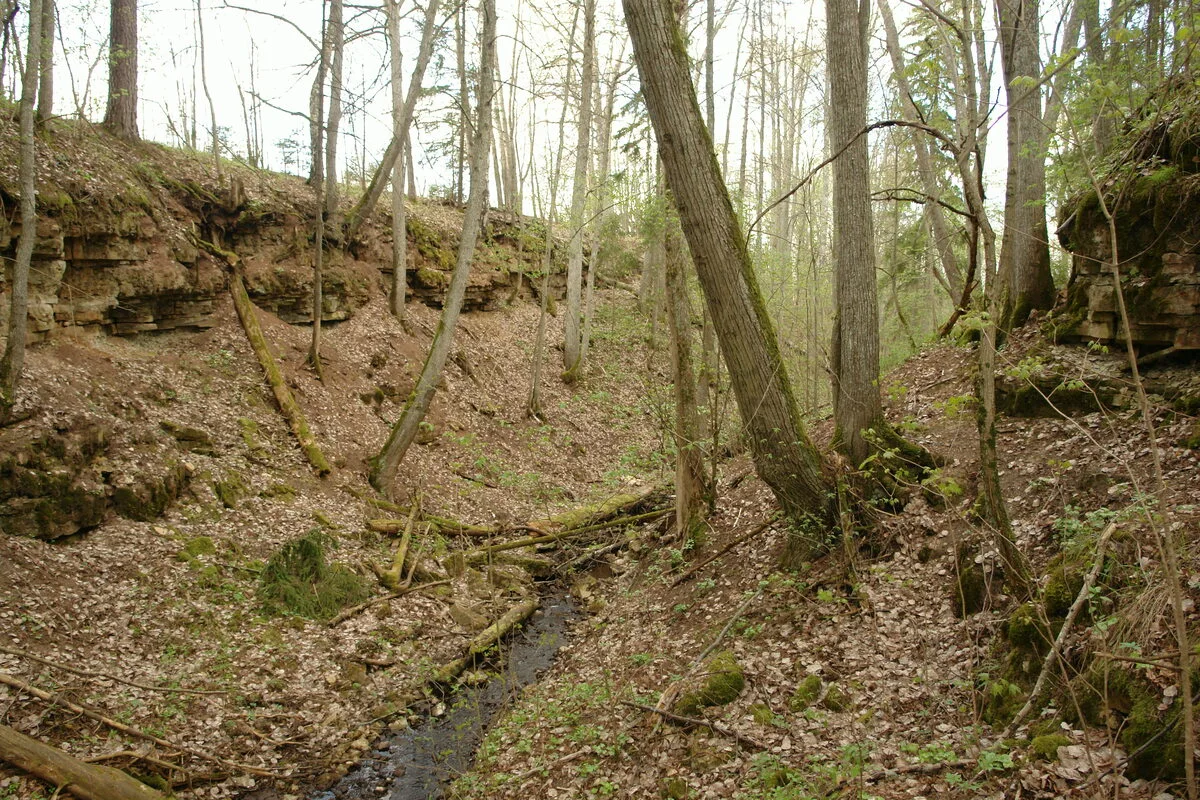 Markuzu grava. 2008. gada maijs.