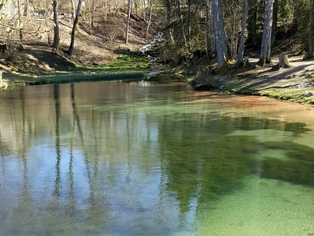 Mežmuižas avotu dīķis. 2017. gada maijs.