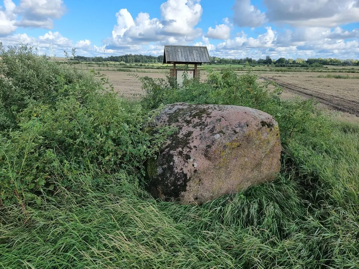 Padambju bedrīšakmens. 2021. gada augusts.