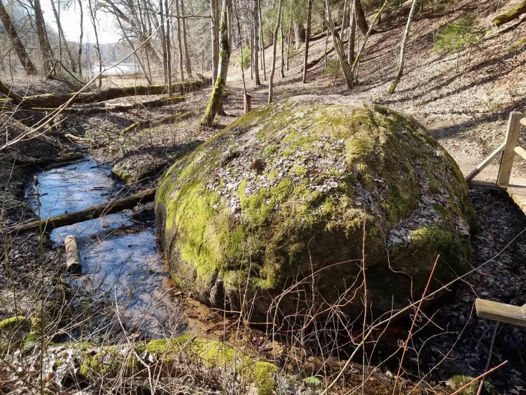 Runtiņupes Lielais akmens. 2025. gada marts.