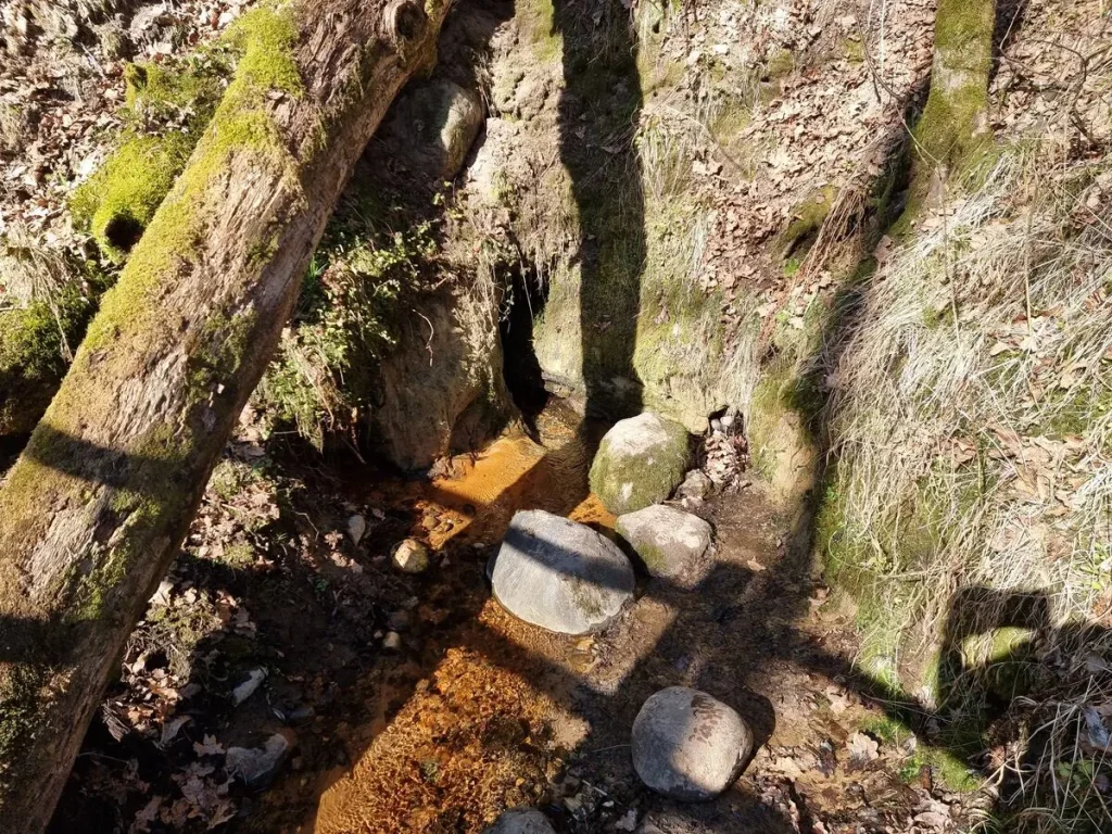 Runtiņa avots. 2025. gada marts.