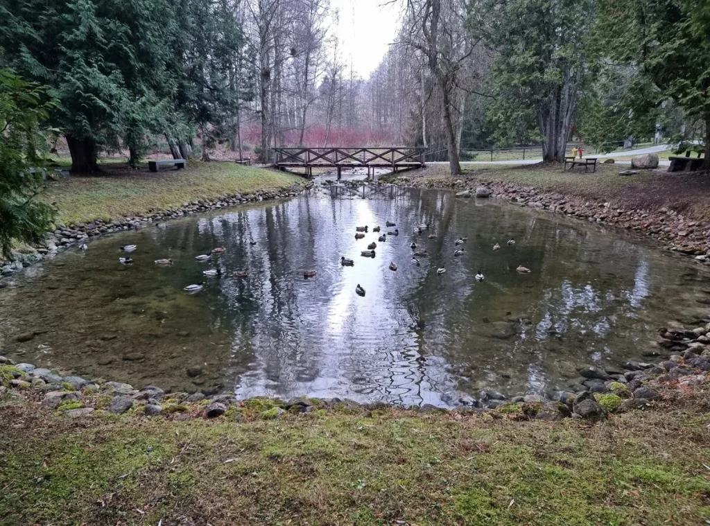 Smardones avots. 2024. gada decembris.