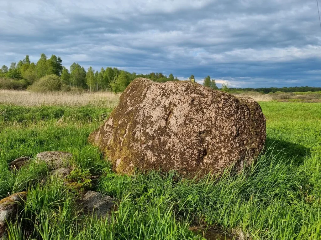 Kapsēdes Rudais akmens. 2025. gada maijs.