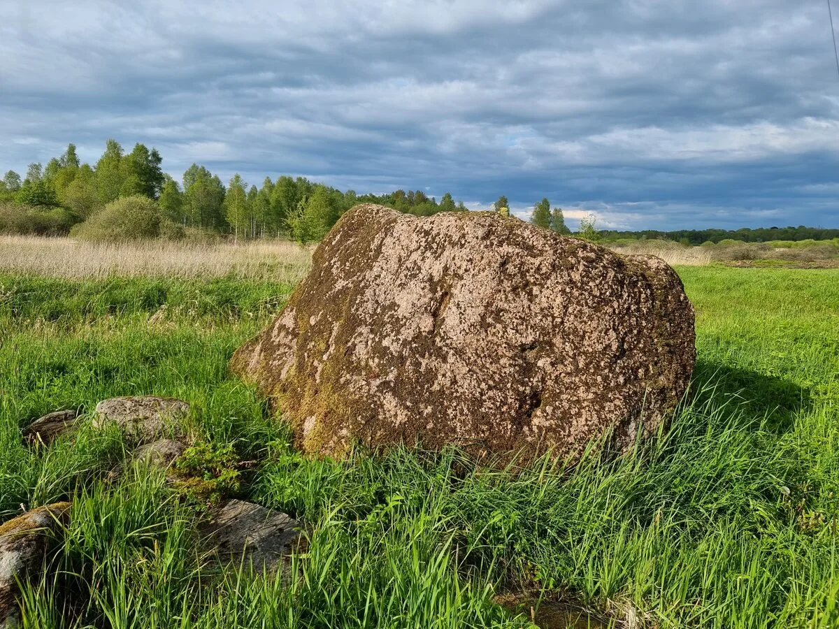 Kapsēdes Rudais akmens. 2025. gada maijs.