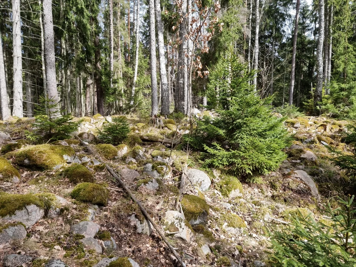 Nablānīškalva. 2025. gada aprīlis.