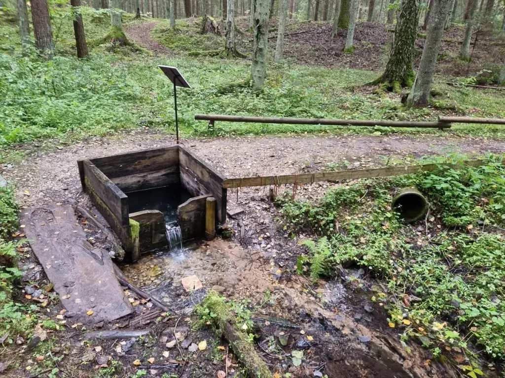 Avots pie Sakaiņu pilskalna. 2021. gada septembris.