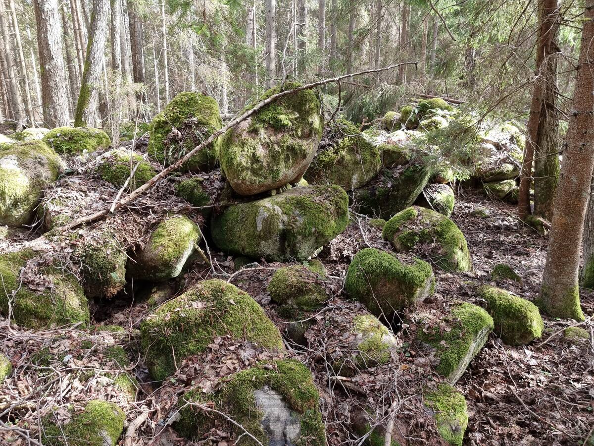 Velna kalva. Visdrīzāk, šajā vietā akmeņu krāvums ir postīts. 2025. gada aprīlis.